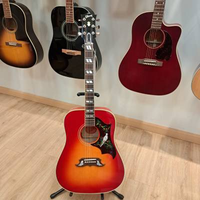 Store Special Product - Gibson Dove